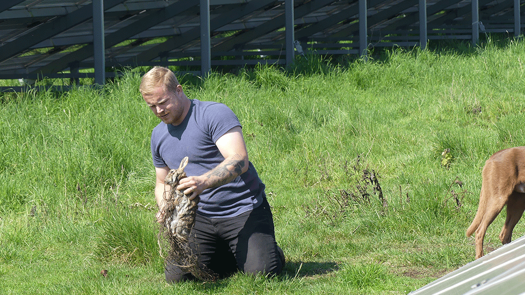 Rabbit Control